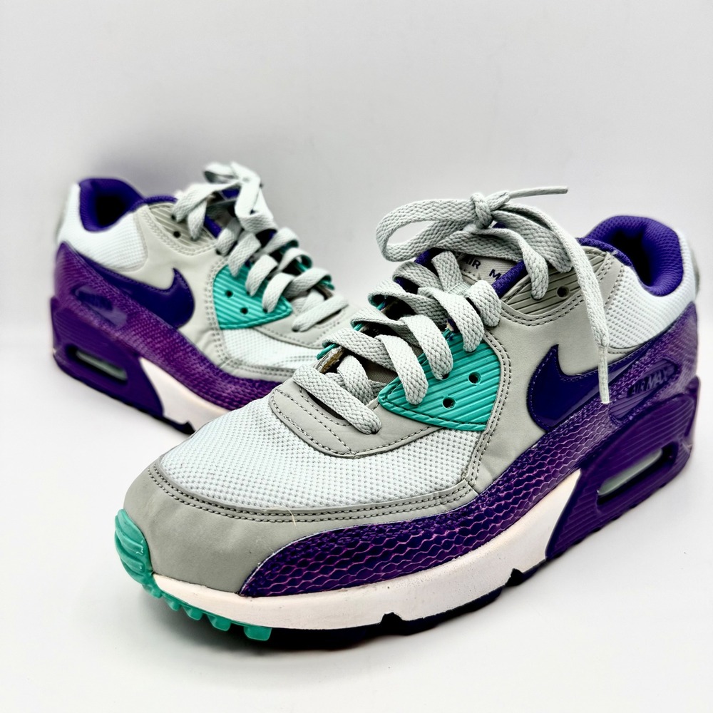 Nike Air Max 90 Silver Wing/Hyper Grape Retro 325213-036